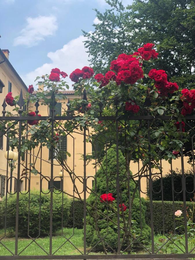 Catoo Dimora Di Design Park In Palazzo Nobiliare Al Duomo Apartment Padova Ngoại thất bức ảnh
